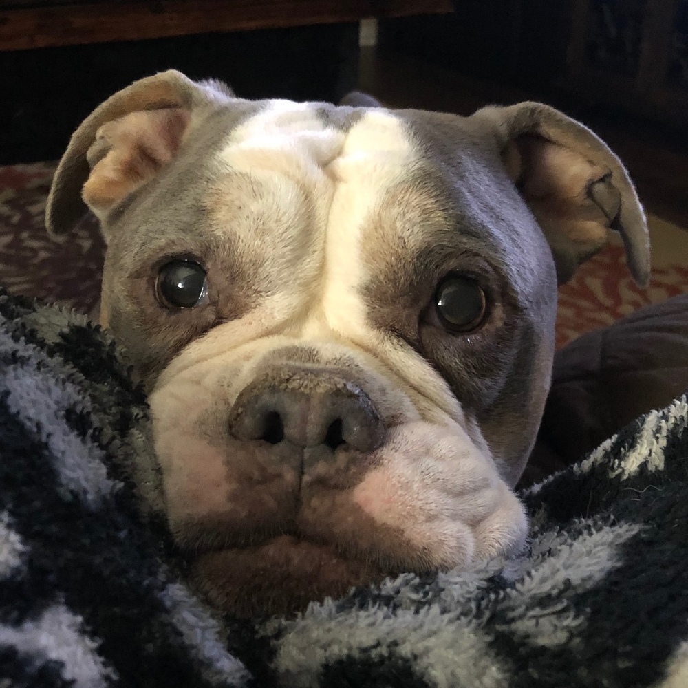 Meet your Posher, Jenn